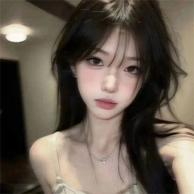 最后的维米尔